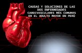 Causas y soluciones de las dos enfermedades cardivasculares