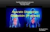 Trabajo massiel biologia y conducta sistema digestivo