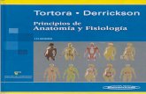 Principios de anatomía y fisiología, 11va edición   tortora y derrickson