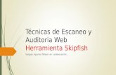 Escaner de vulnerabilidades - Skipfish
