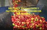 Sectores productivos y factores socio economicos del quindio