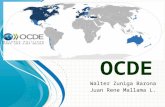 Presentación de la OCDE