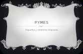 Pymes, brindando empleos en México.