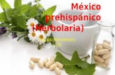 México prehispánico (herbolaria).2