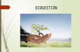 Ecogestion Introducción Concepto
