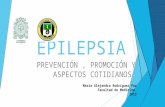 Epilepsia : prevención, promoción  y aspectos cotidianos