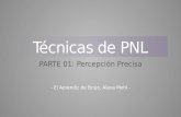 Técnicas de PNL (Percepción Precisa - parte 01)