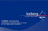 Iceberg Consulting   Linkedin Profile