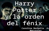 Harry potter y la orden del fenix   carolina barbella