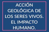 Acción geológica de los seres vivos. el impacto humano