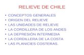 Relieve De Chile.