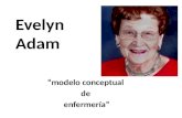 Evelin Adam Modelo Conceptual  De  Enfermería