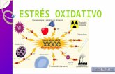 Estrés oxidativo