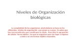 Niveles de organización biológicas.ppt