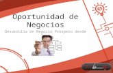 Presentación virtual business perú3