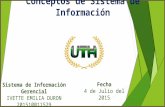 Conceptos sistema de información gerencial grupo4-201510011529- IVETTE DURON