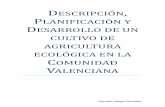 Descripción, planificación y desarrollo de un cultivo de agricultura ecológica en la comunidad valenciana