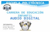 Audio digital