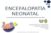 Encefalopatía Neonatal