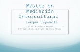Mediación intercultural1