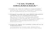 Cultura Organizada