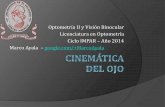 Cinemática Del Ojo