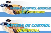 Control Gerencial y Ee.ff Proyectados