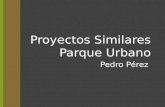 Proyecto Similar Pedro Perez