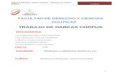 HABEAS CORPUS REV.doc