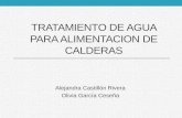 expo TRATAMIENTO DE AGUA PARA ALIMENTACION DE CALDERAS.pdf