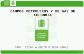2. Campos Petroleros - Colombia (a)