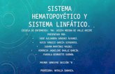 Sistema Hematopoyético y Sistema Linfático