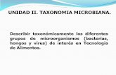 Tema 3 Taxonomia