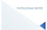 43565575 Patologias de Pie