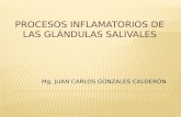 Procesos Inflamatorios de Las Glã_ndulas Salivales