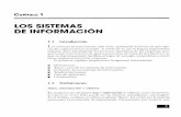 SI-Sistemas de Informacion(1)