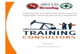 Portafolio de Servicios de Training Consultors
