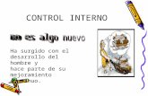 Manual Control Interno Andes