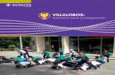 Instructivo Villalobos 2015.