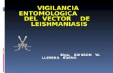 Control Vectorial Lutzomyia RSH Mayo-14