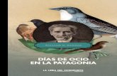 Días de Ocio en La Patagonia - Muestra