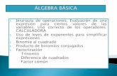 Algebra Basica