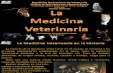 Medicina Veterinaria.pdf