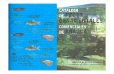 Catalogo de Peces Ornamentalesde Arauca
