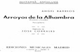 Arroyos de La Alhambra