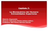 Capitulo 7- Biomecanica Del Humano Extremidades Superiores
