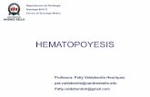 Clase 6B Hematopoyesis 10 Sept