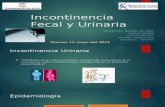 Incontinencia Fecal y Urinaria
