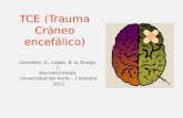 TCE (Trauma Cráneo Encefálico)