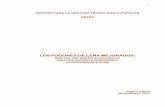 LOS FOGONES de LEÑA MEJORADOS, Que Son, Por Que Los Promovemos, Aspectos Sociales y Ambientales, Metodología de Trabajo, Version PDF